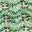 Menthe a l'eau